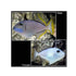 files/bpk-farm-live-stock-blue-throat-triggerfish-xanthichthys-auromarginatus-40409074467046.jpg