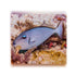files/bpk-farm-live-stock-blue-throat-triggerfish-xanthichthys-auromarginatus-40409074499814.jpg