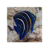 files/bpk-live-stock-koran-angelfish-pomacanthus-semicirculatus-40408419500262.jpg