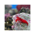 files/bpk-live-stock-red-fire-shrimp-40784417882342.jpg