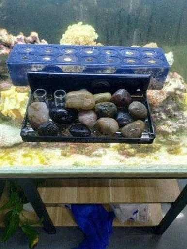 Flipper Aquatic Accessories Flipper - Magnetic Frag Station - Frag Rack with Removeable Shelf - Holds 14 Frags