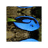 files/indonesia-live-stock-blue-tang-paracanthurus-hepatus-40692919140582.jpg