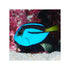 files/indonesia-live-stock-blue-tang-paracanthurus-hepatus-40692919533798.jpg
