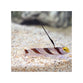 Hi Fin Red Banded Goby - (Stonogobiops nematodes)