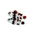 files/ora-live-stock-black-storm-clownfish-amphiprion-ocellaris-var-40761579995366.jpg