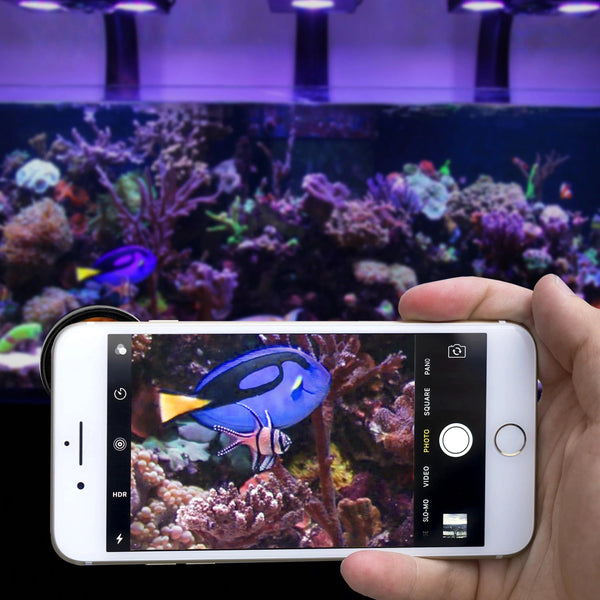 PetStore.ae Flipper Flip-Kick Phone Filter Aquarium Reef Lens with Orange and Yellow Lenses