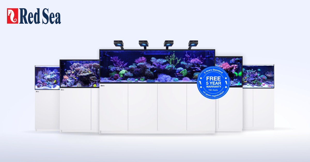 New Red Sea Reefer G3 Series | Advanced Reef Systems