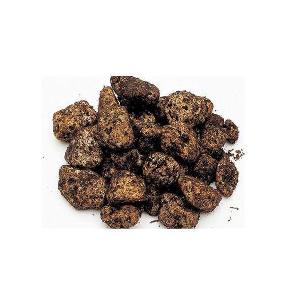 Power Sand Special - ADA - PetStore.ae