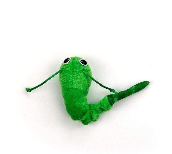 All for Paws = AFP - Speedy Snake - PetStore.ae