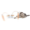AFP - Dino Egg Spinner - PetStore.ae