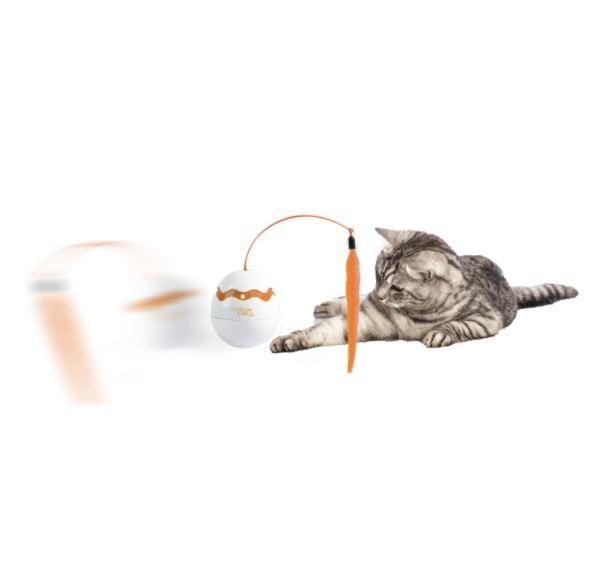 AFP - Dino Egg Spinner - PetStore.ae