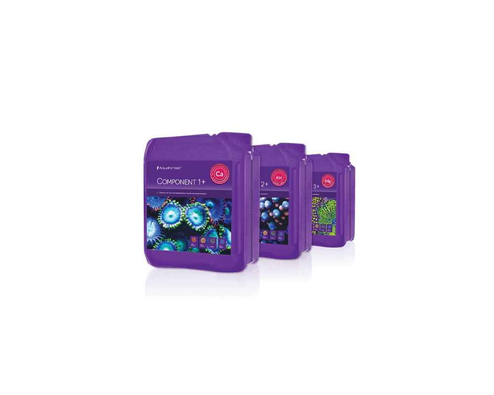Aquaforest - Component 1+2+3+