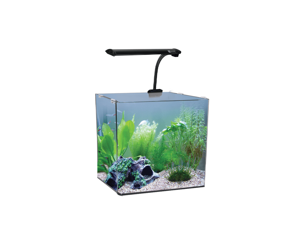 AquaNano 40 Tropical Glass Aquarium (40W x 40D x 40H cm) - Aqua One - PetStore.ae