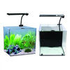 AquaNano 40 Tropical Glass Aquarium (40W x 40D x 40H cm) - Aqua One - PetStore.ae