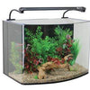 AquaNano 60 Bow Front Aquarium + Cabinet (60W x 38D x 44H +78H cm) - Aqua One - PetStore.ae