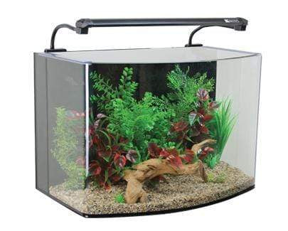 AquaNano 60 Bow Front Aquarium + Cabinet (60W x 38D x 44H +78H cm) - Aqua One - PetStore.ae