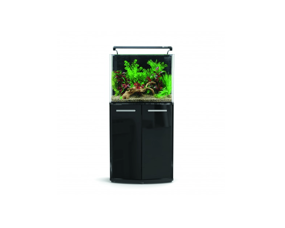 AquaNano 80 Bow Front Aquarium + Cabinet (80W x 40D x 47H + 78H cm) - Aqua One - PetStore.ae