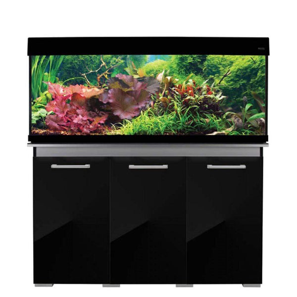 AquaVogue 245 Aquarium (120W x 45D x 55H cm) - Aqua One - PetStore.ae