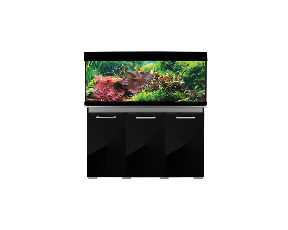AquaVogue 245 Aquarium (120W x 45D x 55H cm) - Aqua One - PetStore.ae