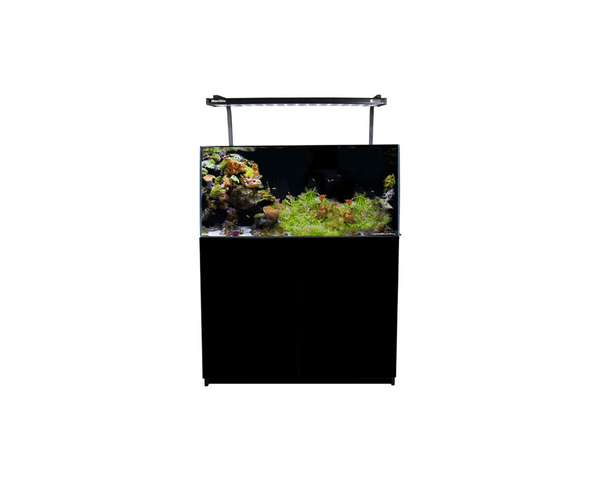 MiniReef 180 Marine Set Aquarium + Cabinet (45D x 90W x 45H + 76H cm)- Aqua One - PetStore.ae