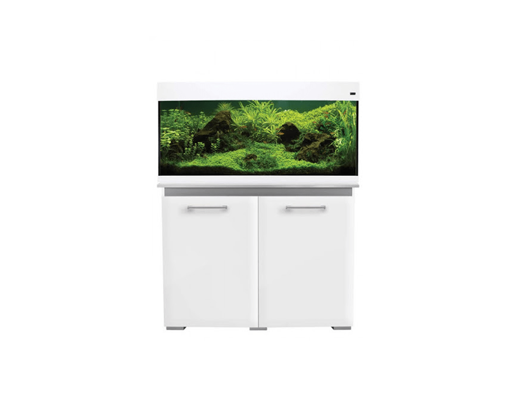 AquaVogue 170 Aquarium (100W x 42D x 50H cm) - Aqua One - PetStore.ae