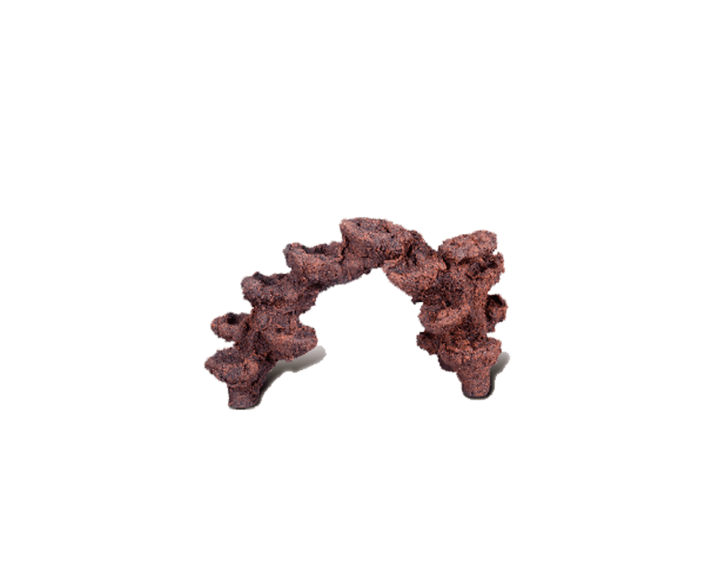 Bio Active Rock - ASBR-H - Aquarium System Solution