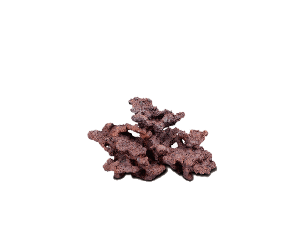 Bio Active Rock - ASBR-M - Aquarium System Solution