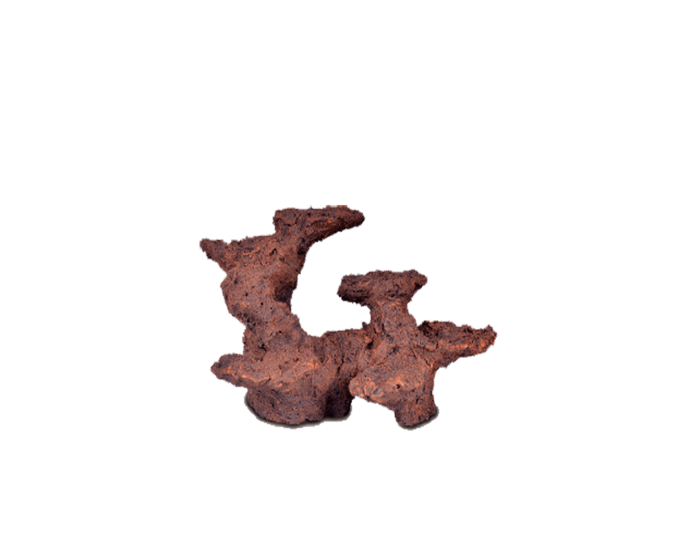 Bio Active Rock - ASBR-P - Aquarium System Solution