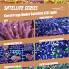 ASS Satellite Series - Lights Blue-White - Aquarium System Solution - PetStore.ae