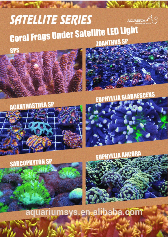 ASS Satellite Series - Lights Blue-White - Aquarium System Solution - PetStore.ae