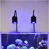 ASS Satellite Series - Lights Blue-White - Aquarium System Solution - PetStore.ae