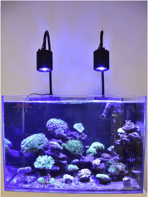 ASS Satellite Series - Lights Blue-White - Aquarium System Solution - PetStore.ae