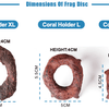 Coral Holder - ASFD - Aquarium Solution System - PetStore.ae