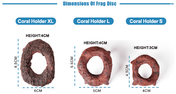Coral Holder - ASFD - Aquarium Solution System - PetStore.ae