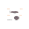 Frag Plug - ASFD-M L - Aquarium Solution System - PetStore.ae