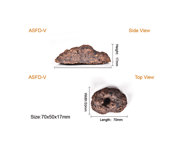 Frag Plug - ASFD-V - Aquarium Solution System - PetStore.ae