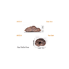 Frag Plug - ASFD-V - Aquarium Solution System - PetStore.ae