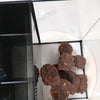 Nano Aquarium MFT-400 (40L x 40W x 40H + 87H cm)- Aquarium System Solution - PetStore.ae