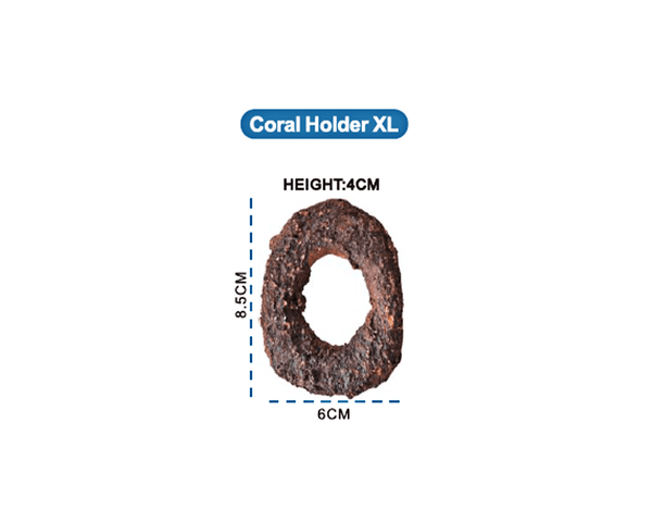 Coral Holder - ASFD - Aquarium Solution System - PetStore.ae