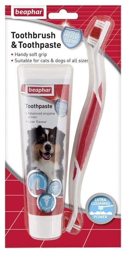 Toothbrush And Toothpaste Kit For Dogs And Cat - Beaphar - PetStore.ae