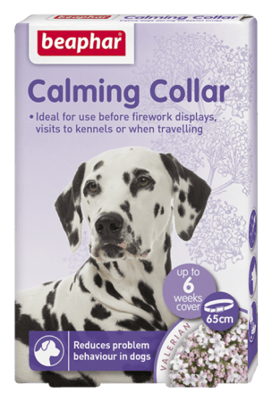 Calming Collar - Dog Collar - Beaphar - PetStore.ae