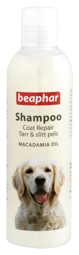 Shampoo Macadamia Oil - Dog Shampoo - Beaphar - PetStore.ae