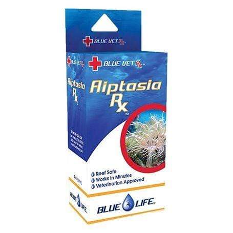 Aiptasia Rx Aquarium Treatment - Blue Life - PetStore.ae