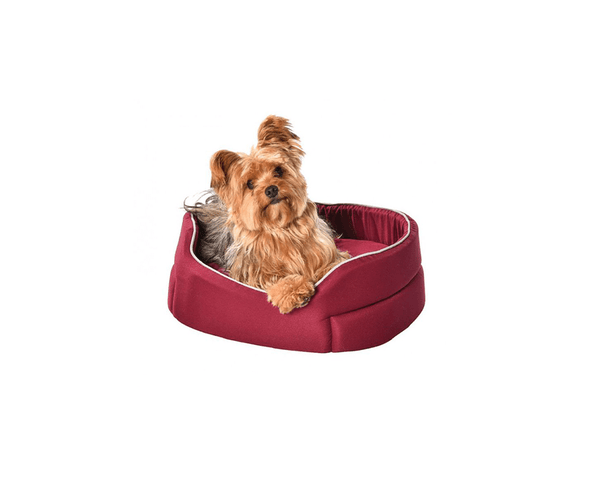 Spooky Basket Pet Bed - Bobby - PetStore.ae