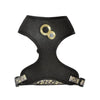 Chamane Cat Harness And Lead - Black - Bobby - PetStore.ae