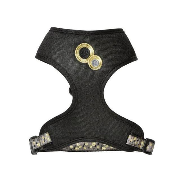 Chamane Cat Harness And Lead - Black - Bobby - PetStore.ae