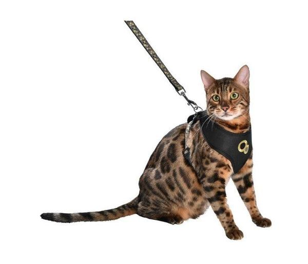 Chamane Cat Harness And Lead - Black - Bobby - PetStore.ae