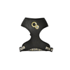Chamane Cat Harness And Lead - Black - Bobby - PetStore.ae