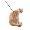 Confetti Cat Harness And Lead - Mauve - Bobby - PetStore.ae