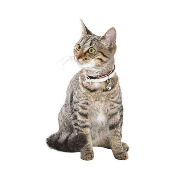 Dots Cat Collar - Beige - Bobby - PetStore.ae
